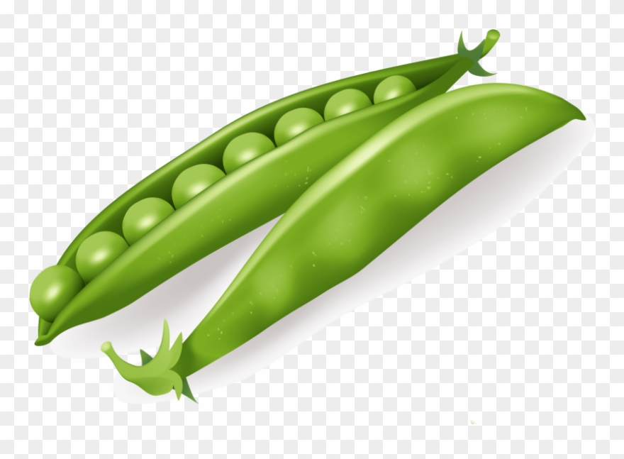 Download Pea Clipart Png Photo - Vegetables Vector Free Transparent Png