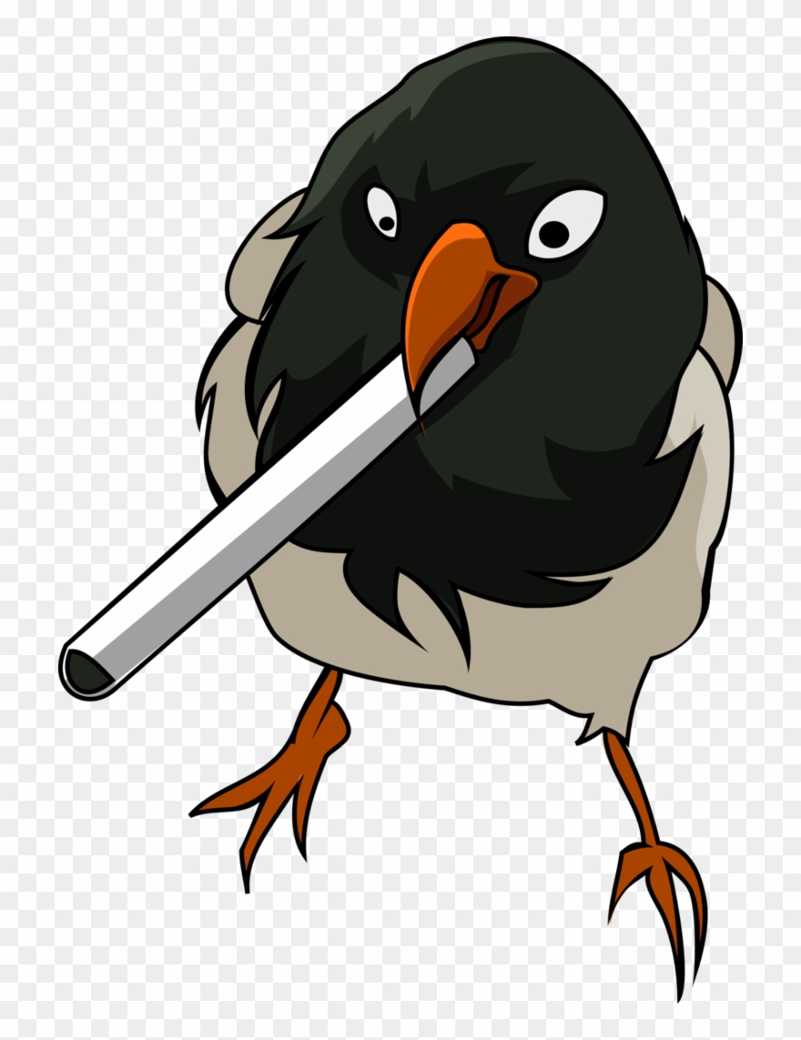Robin Vector Stylised - Clip Art - Png Download