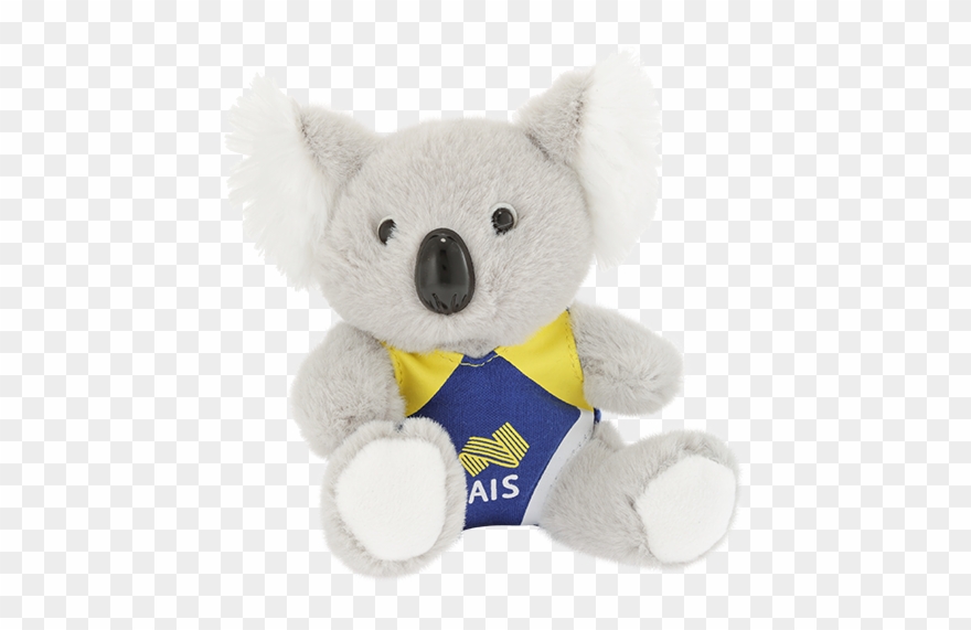 Koala Swimmer - Advanced Info Service Clipart