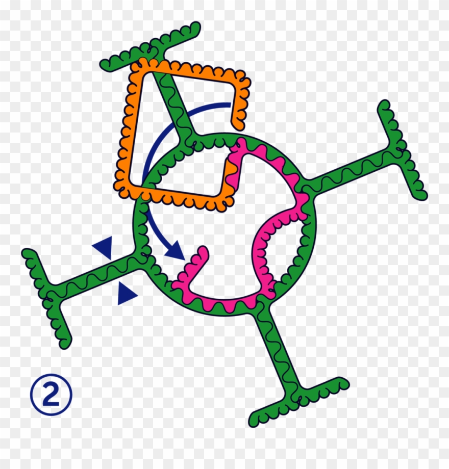 Frog2 - Summer Clipart