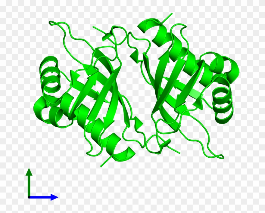 <div Class='caption-body'><ul Class ='image Legend Clipart