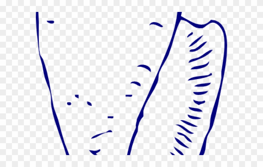 Shell Clipart Ocean Shell - Seashell Clip Art - Png Download