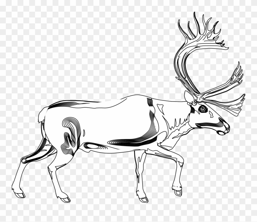Reindeer Line Art Antelope Antler - Reindeer Clipart