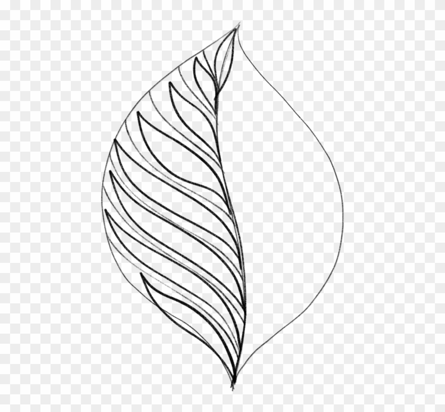 Drawing Leaves Easily Using Simple Shapes Jspcreate - Drawing Clipart