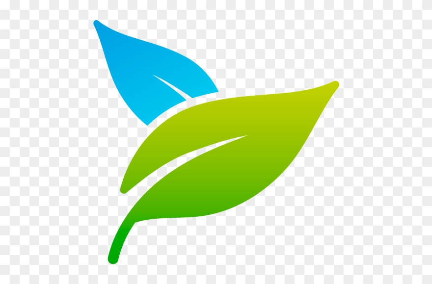 Art Pho 800px Notxt Nobg - Photosynthesis Logo Clipart