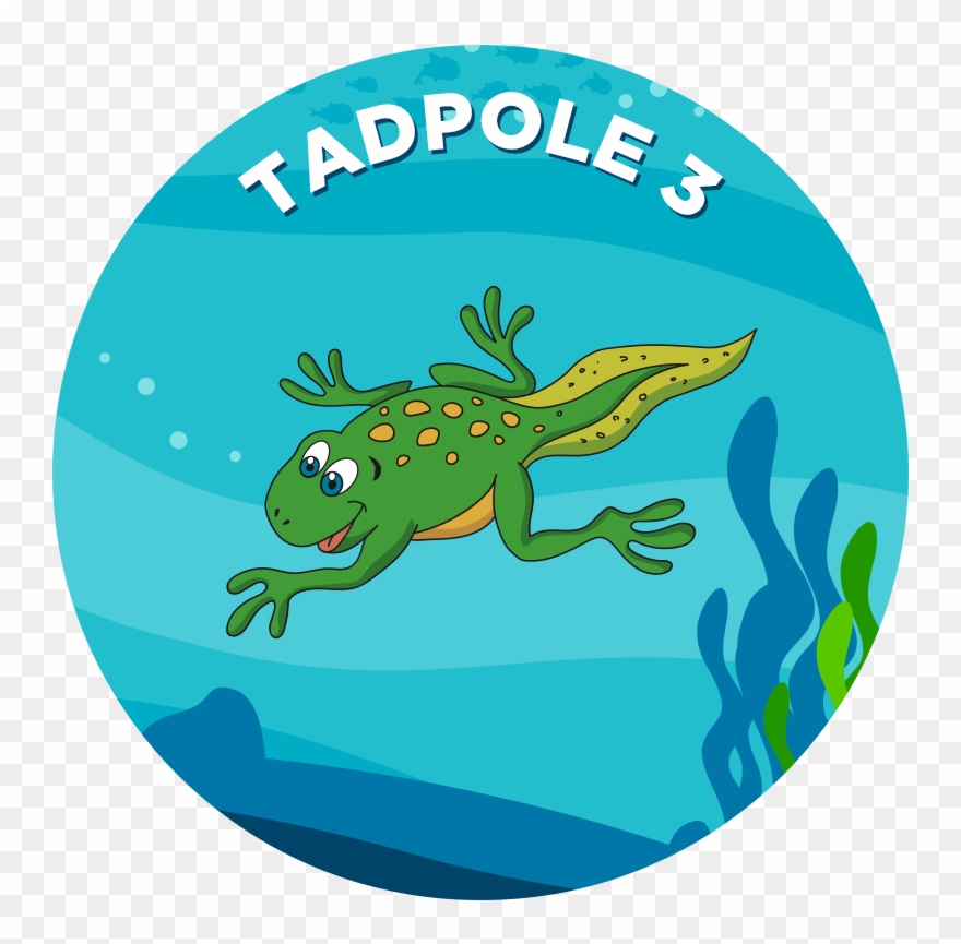 Tadpole Clip Art - Png Download
