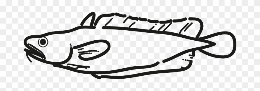 Tadpole Codling Clipart