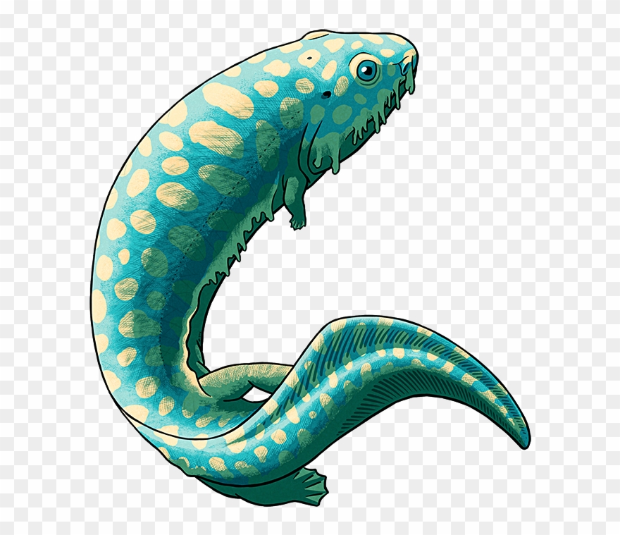 Amphibian August - Carboniferous Period Animals Transparent Clipart