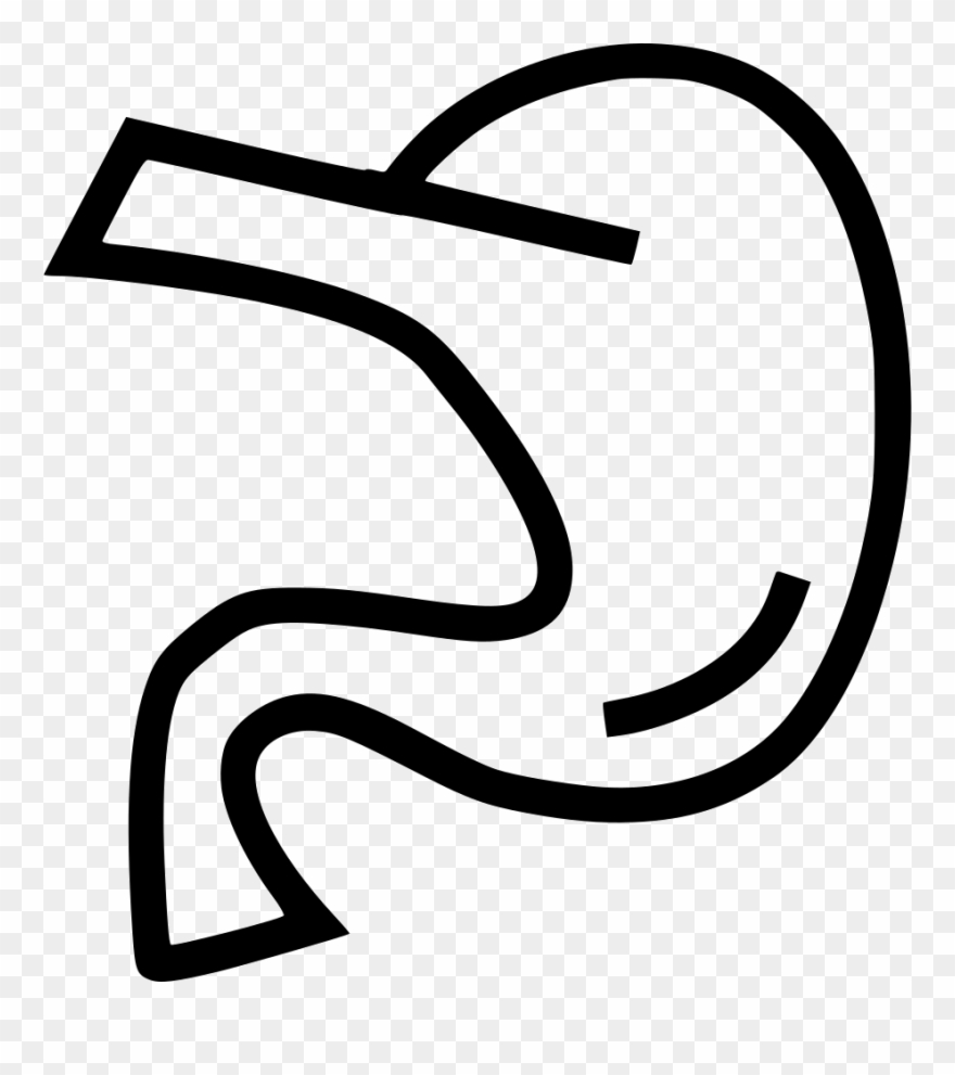 Pancreas Anatomy Organ Comments Clipart