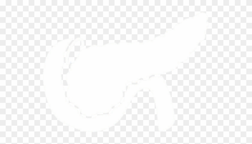 Pancreas - Pancreas Icon Clipart
