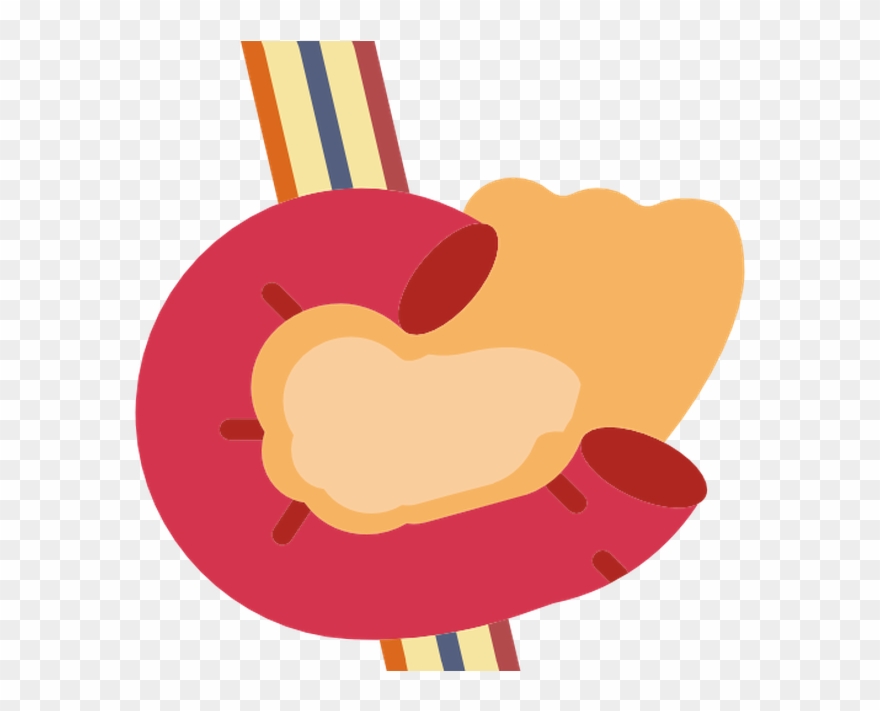 Pancreas Free Vector Icon Designed By Madebyoliver - Organ Clipart