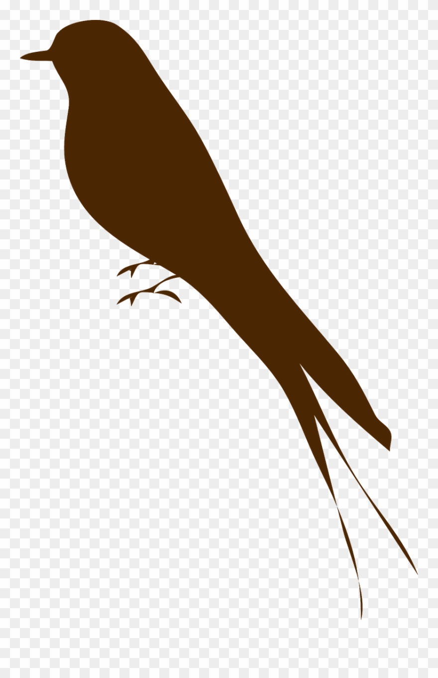 Vector Royalty Free How To Draw A Bird Beautiful Drawings - Bird Silhouette Clipart