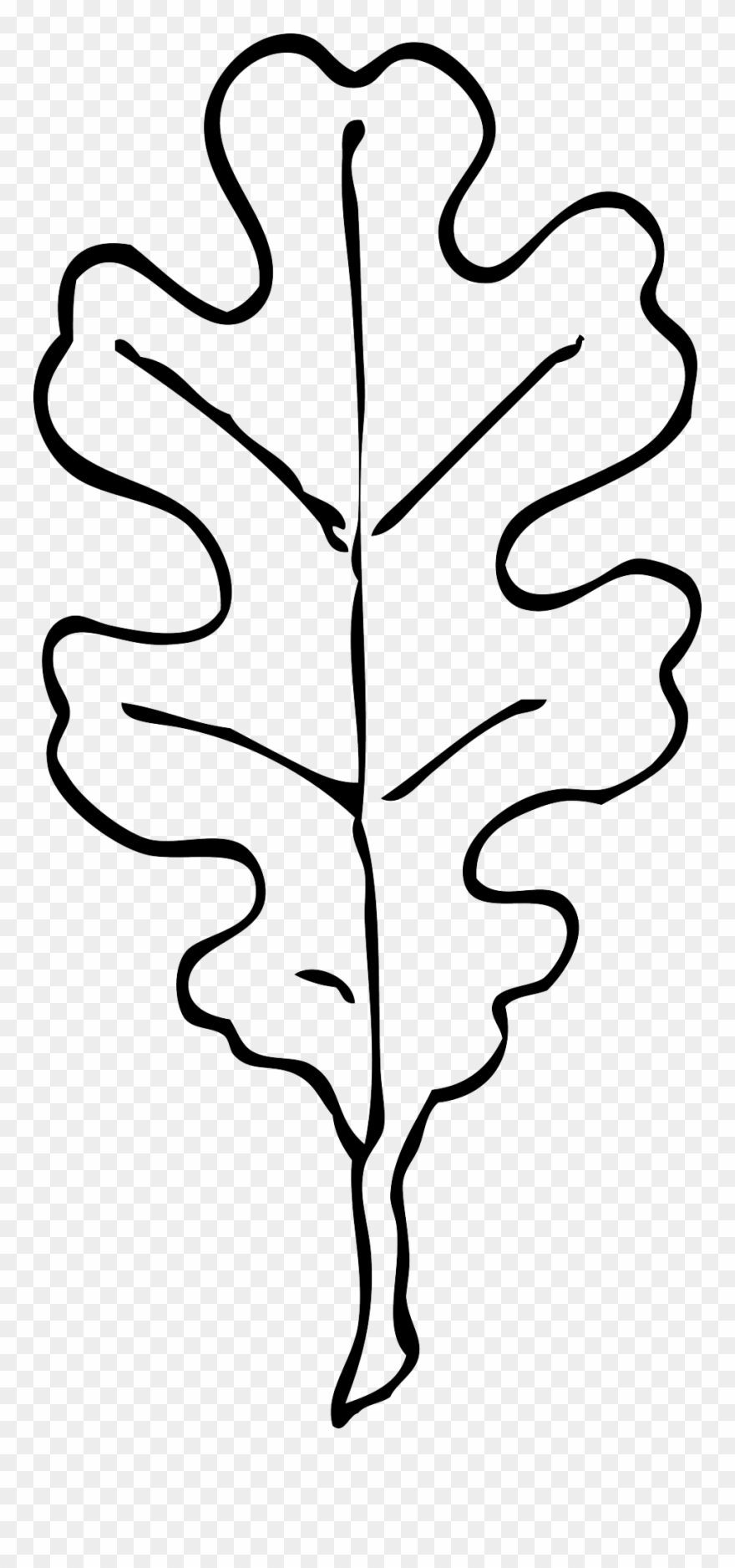 Oak Leaf Black White Line Art Clipart Panda Free Clipart - Oak Leaf Clip Art Black And White - Png Download