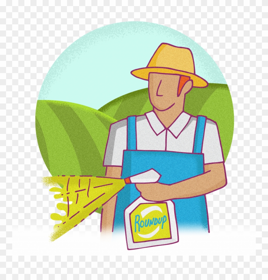 Reports From Doctors Have Indicated That Roundup May - Illustration Clipart