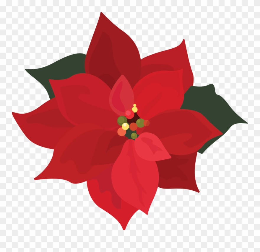 Poinsettia Clipart - Png Download