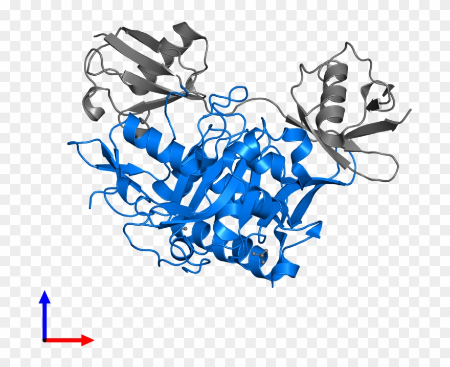 <div Class='caption-body'>pdb Entry 3wxf Contains 1 - Actin Clipart