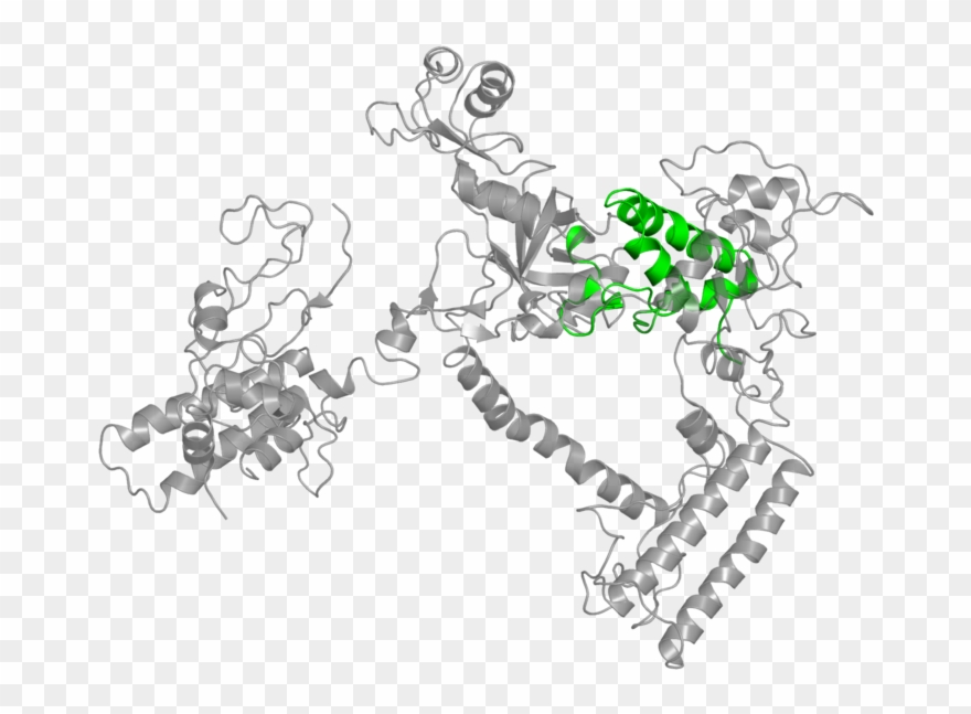 <div Class='caption-body'>1 Copy Of Cath Domain < - Illustration Clipart