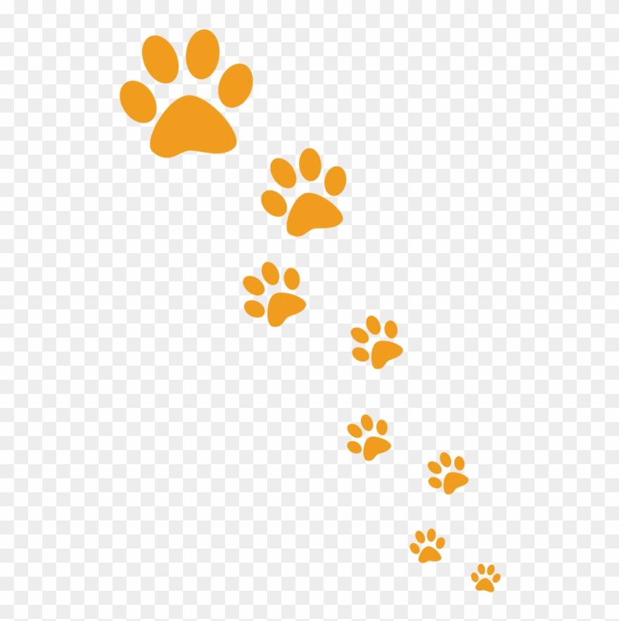 It's A Journey Of Self-discovery - Orange Paw Prints Png Clipart