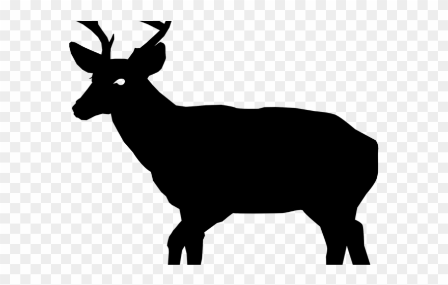 Buck Clipart Wildlife - Scottie Silhouette - Png Download