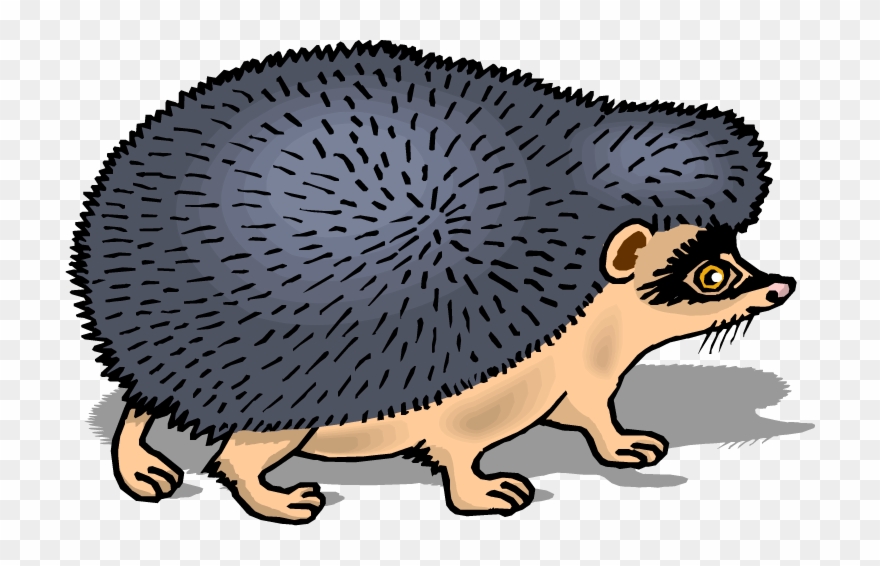 Masked Hedgehog Clipart