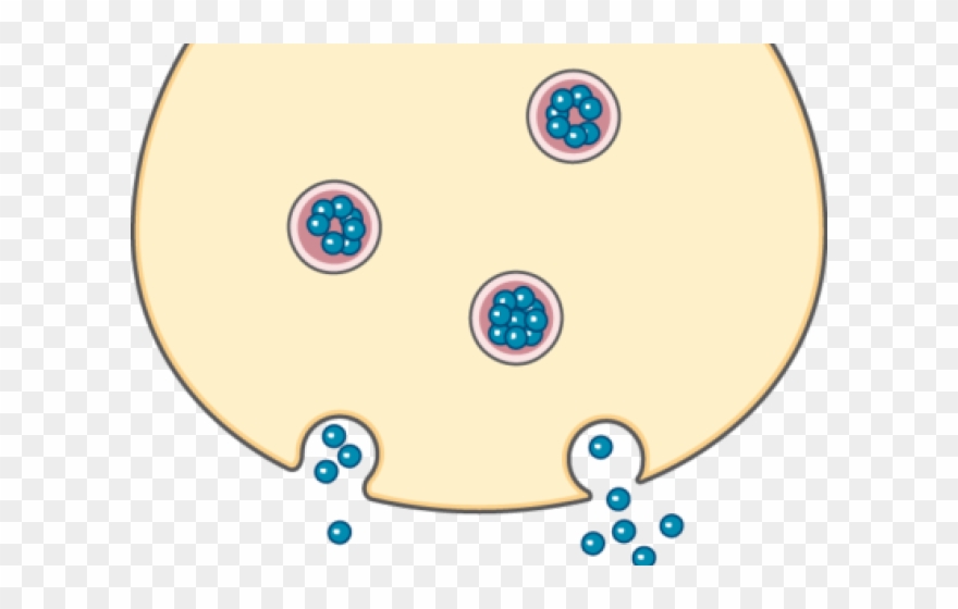 Synapse Clipart System - Png Download