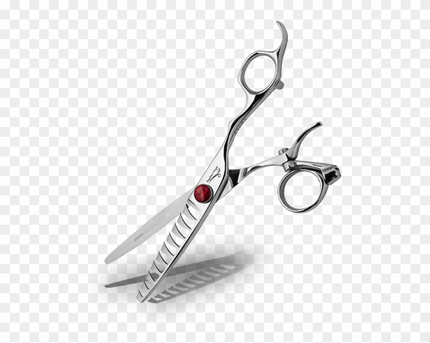 Learn More About The Barbery Clipart