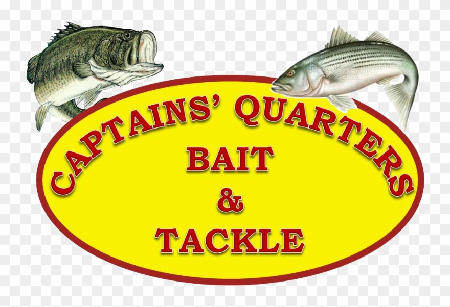 Spring Fling Sponsored By Captain's Quarters Bait & Clipart
