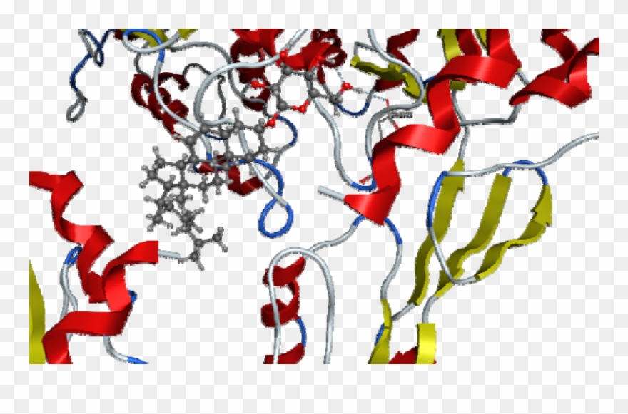 3d Representation Of Docking Of Compound C7 Into The Clipart