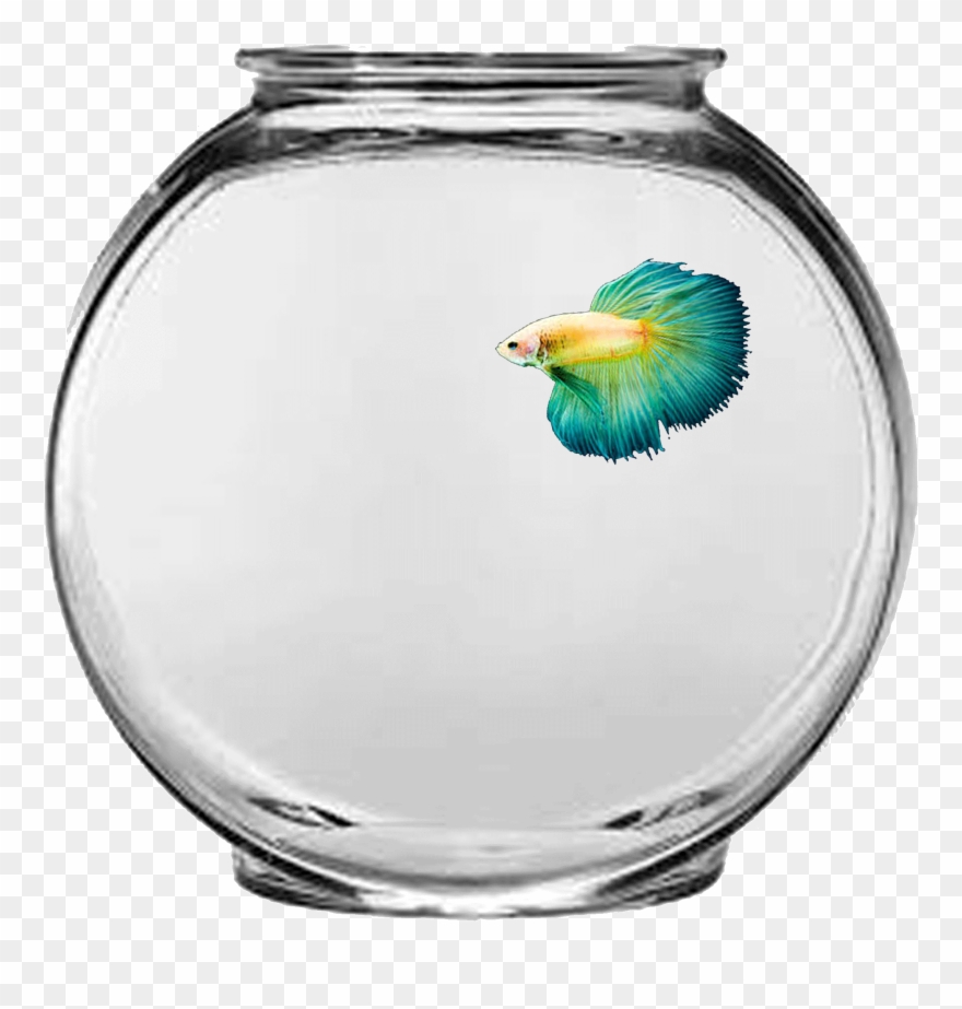 Simple Fish Aquarium Pre-loader Clipart