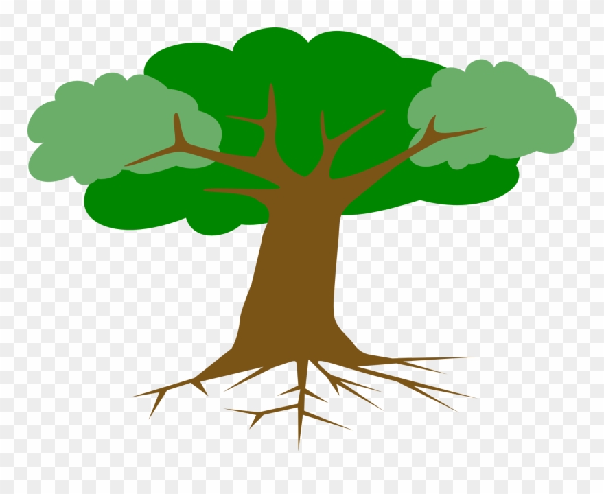 Leaves Cross Section Free Clipart