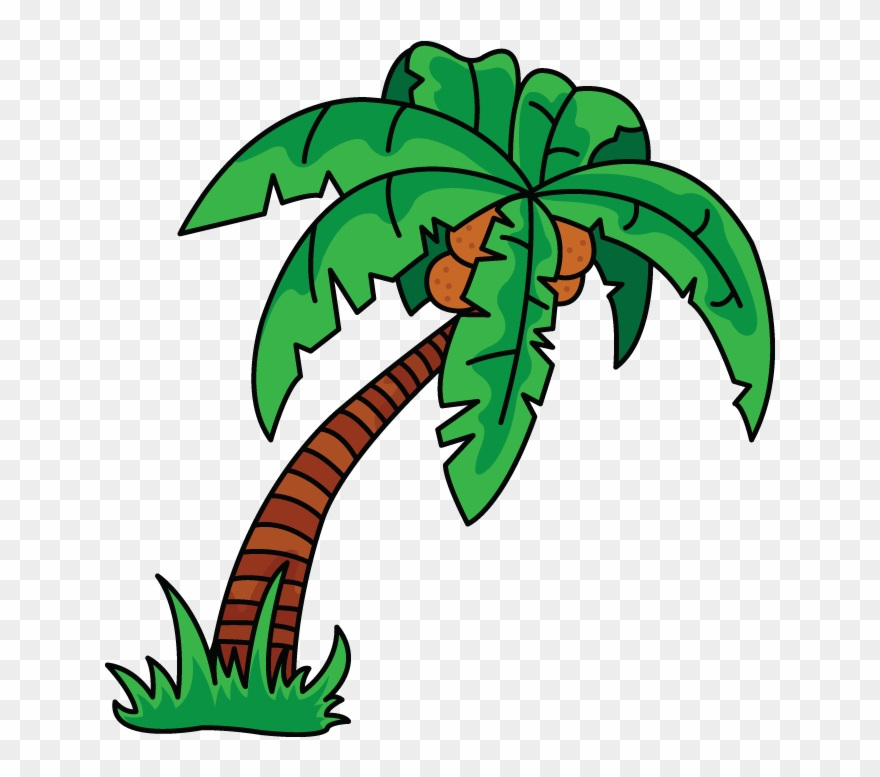 Scarce Palm Tree Drawing How To Draw A Easy Step By Clipart