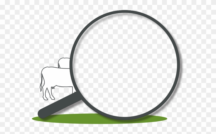 Best Neck Collar For Cows & Heifers Clipart