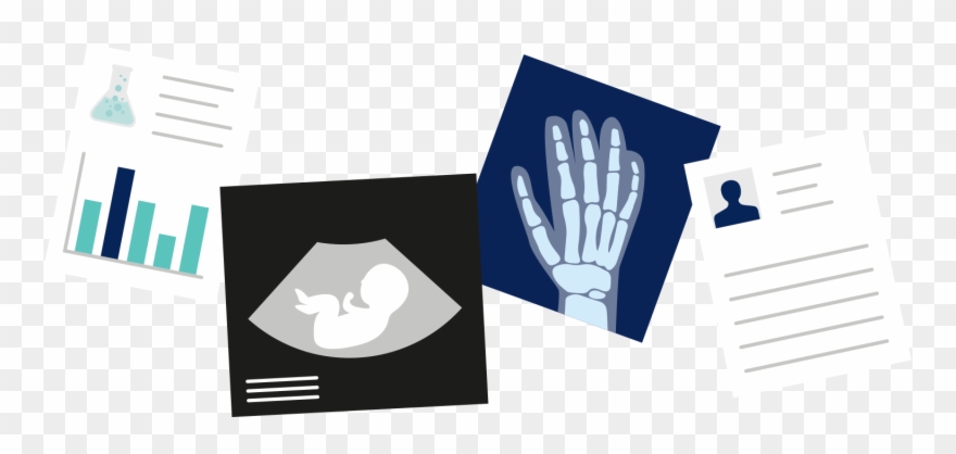 Collect, Understand And Monitor Data Clipart