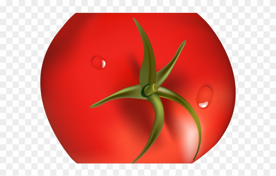 Tomato Clipart Brinjal Plant - Png Download