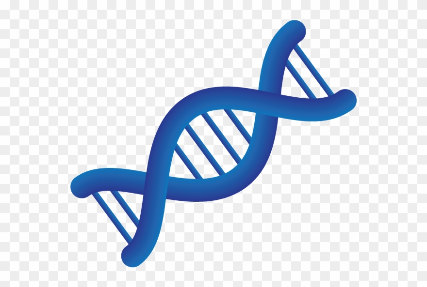 Medical Personalized Medicine Chromosome Clipart