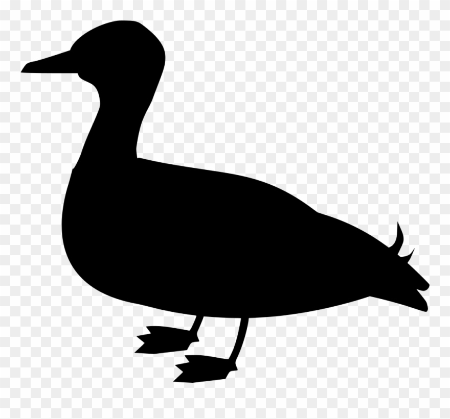 Info Clipart