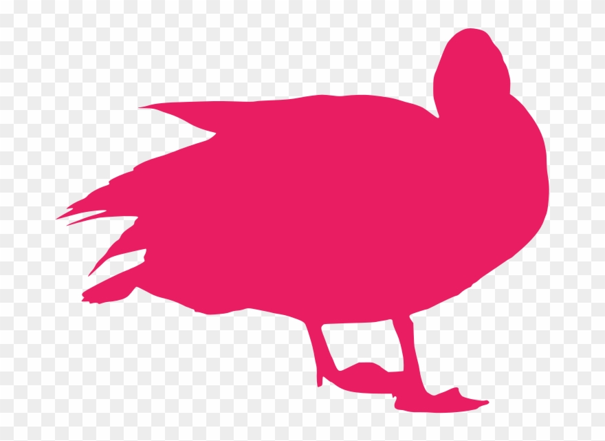 Info Clipart