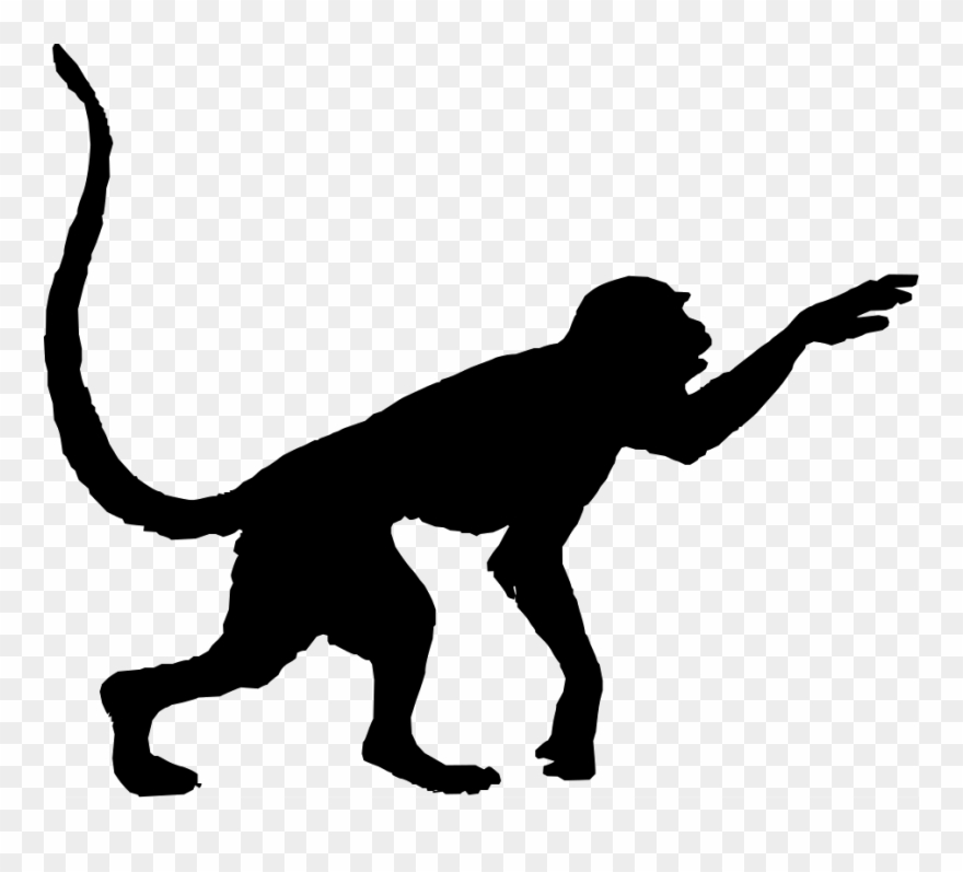 Stencils, Everything, Stencil, Painting Stencils, Sketches Clipart