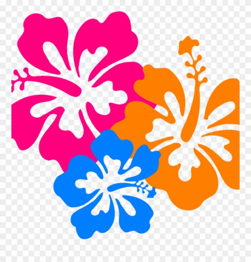 Hawaiian Border Clip Art Hawaiian Flower Clip Art Borders - Png Download