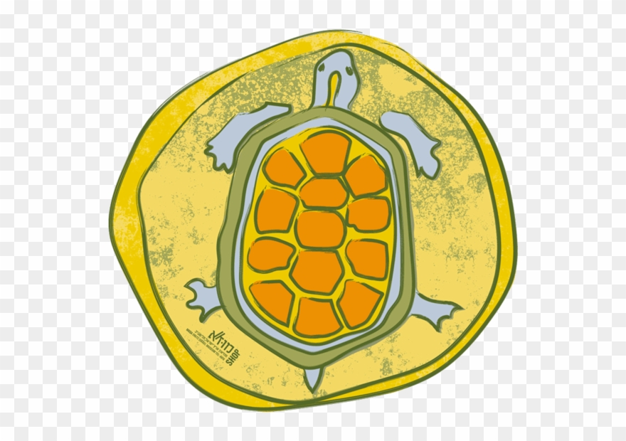 Muza Eretz Israel Museum Tel Aviv Round Picture -tortoise Clipart