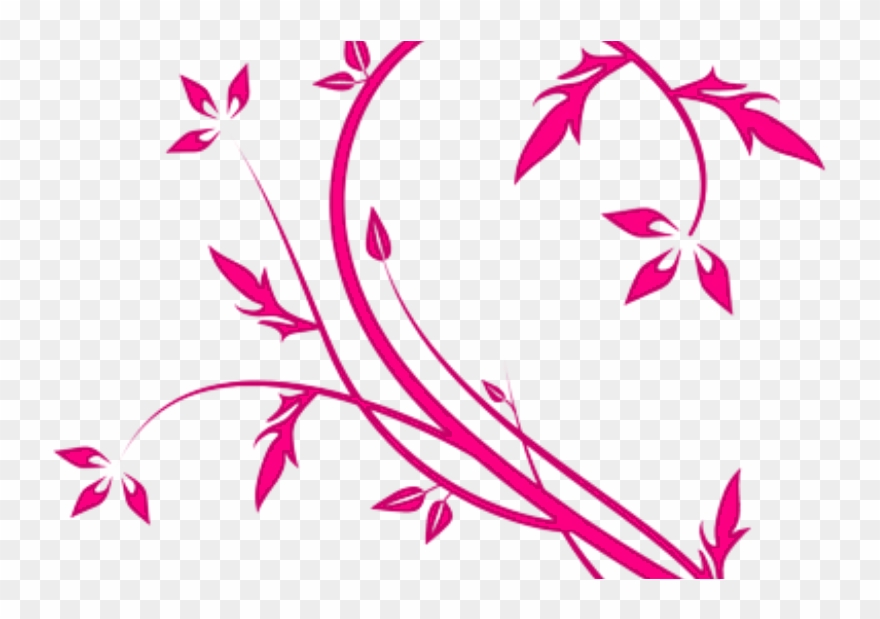 Colorful Frames, Birthday Frames, Flower Frame, Albums, Clipart