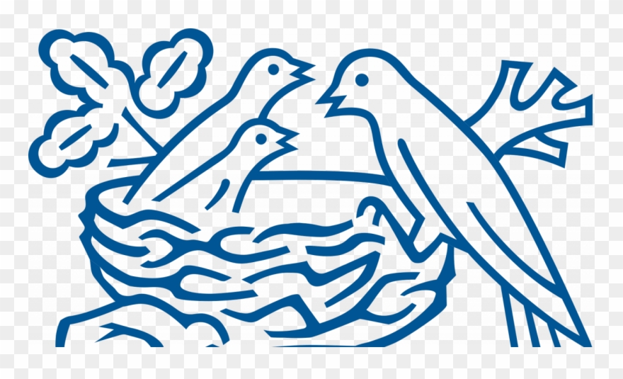 Nestle Approaches Bombay High Court Against Fssai, Clipart