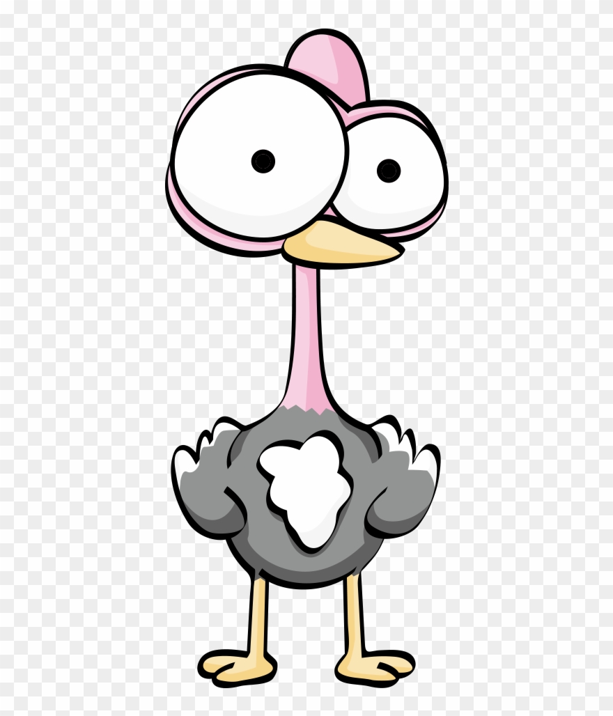 Collection Of Free Ostrich Step By Download Clipart