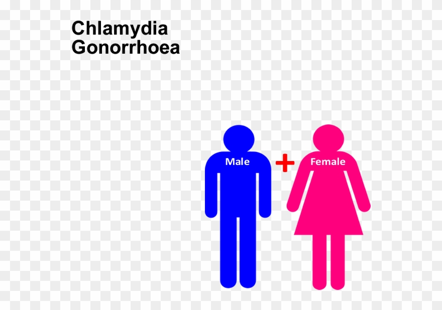 Sti Screening Test Chlamydia, Gonorrhoea Clipart