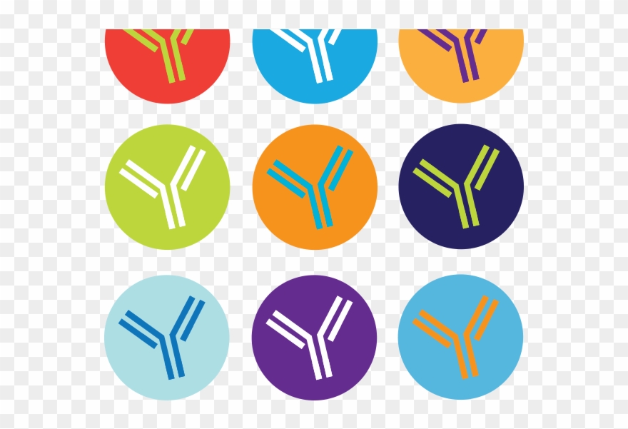 Antibody Library Packs Clipart