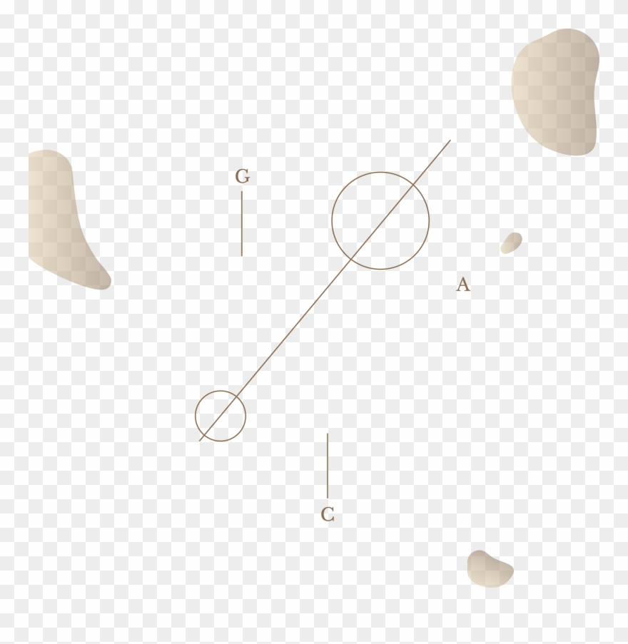 Tend To Embrace The Simplicity Of One Line, Which Connect Clipart