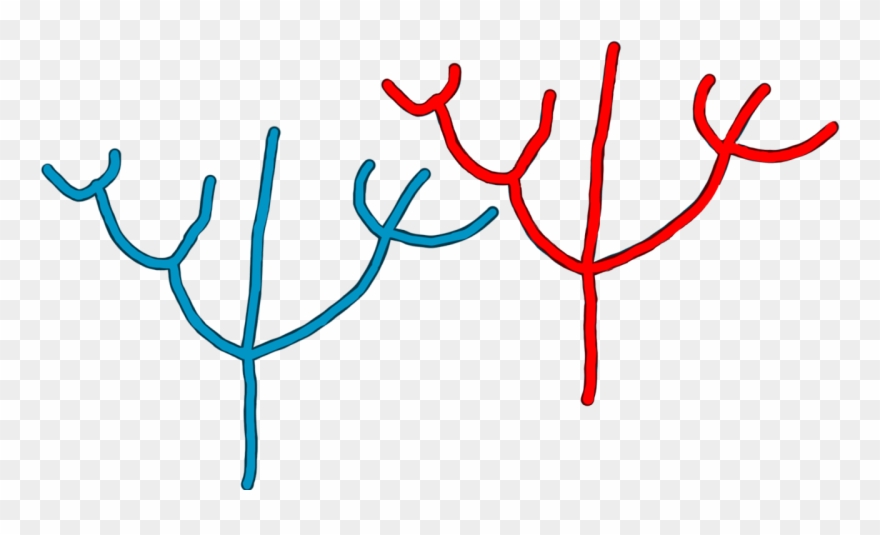 Here Are Some Simple Brain Nerve Paths Art That I Quickly Clipart