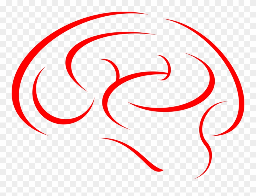 Human Brain Neuroscience Cerebrospinal Fluid Clipart