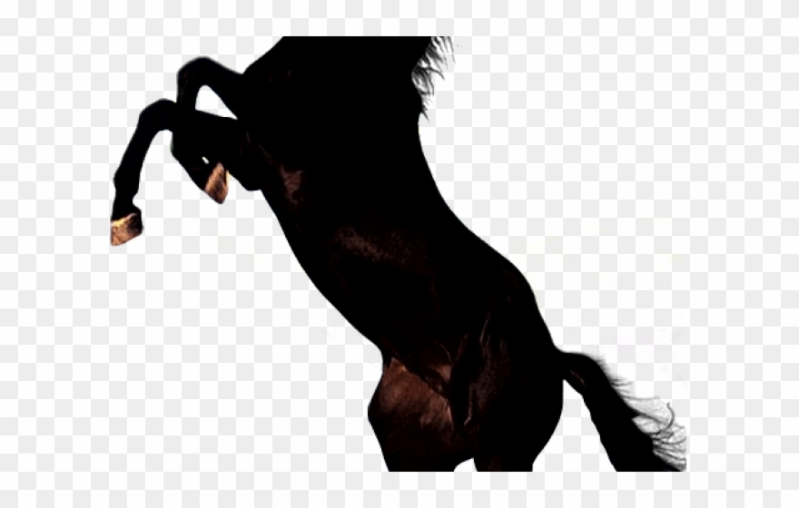 Feet Clipart Horse - Png Download