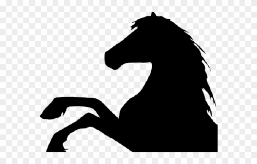 Feet Clipart Horse Png Download (2233732) PinClipart